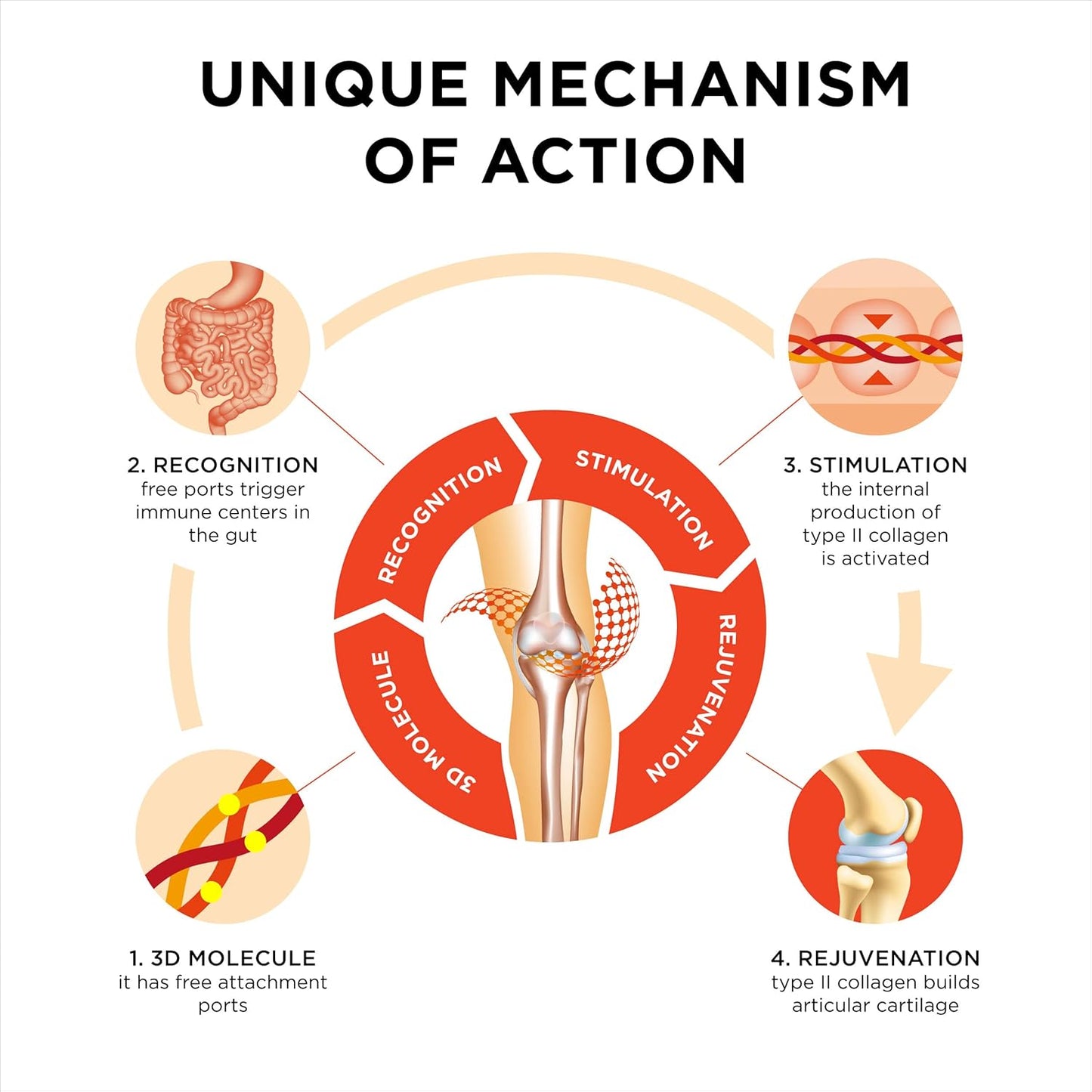 UNDENATURED COLLAGEN+ TURMERIC