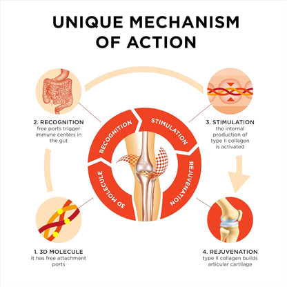 UNDENATURED COLLAGEN+ TURMERIC
